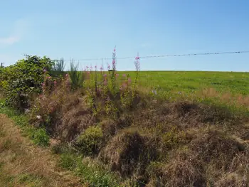 Beausaint (La Roche-en-Ardenne, Belgium)